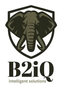 B2IQ - Intelligent Solutions